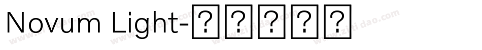 Novum Light字体转换